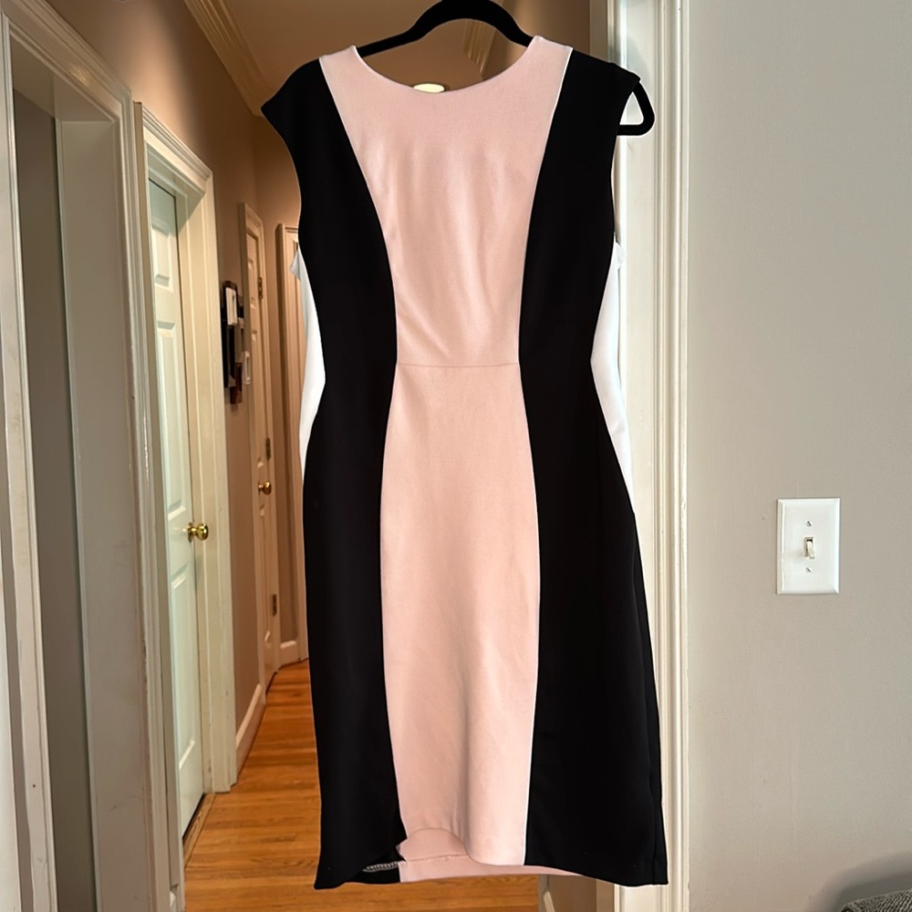 Shelby & Palmer light pink Dress with back and white panels size 12 sliming look
